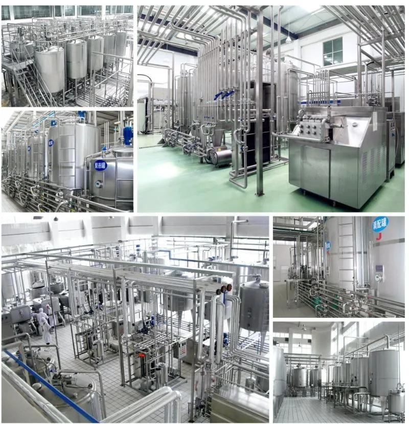 Automatic Pomelo Juice Extractor Industrial Line Fruit Juice Extractor Machine