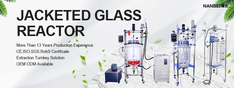 Glass Ultrasonic Extraction Homogenizer Machine for New Material