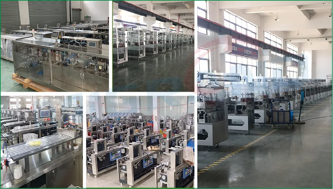 Automatic Bullet Shape Suppository Packing Machine Suppositories Filling and Sealing Machine