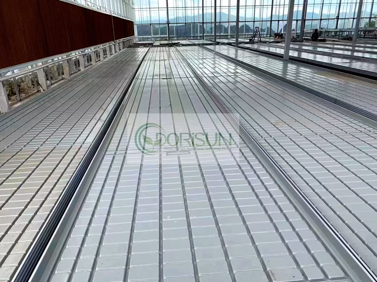 Agricultural Heavy Duty Greenhouse Garden Ebb and Flow Hydroponic Ebb Flow 4X8 Nft Rolling Bench