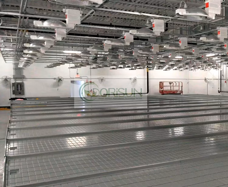 Agricultural Heavy Duty Greenhouse Garden Ebb and Flow Hydroponic Ebb Flow 4X8 Nft Rolling Bench