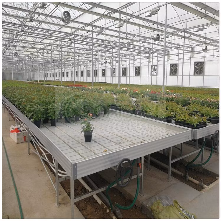 Agricultural Heavy Duty Greenhouse Garden Ebb and Flow Hydroponic Ebb Flow 4X8 Nft Rolling Bench