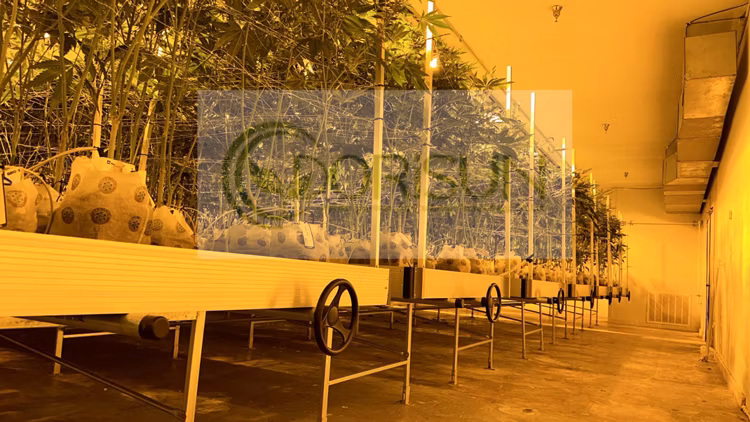 Agricultural Heavy Duty Greenhouse Garden Ebb and Flow Hydroponic Ebb Flow 4X8 Nft Rolling Bench