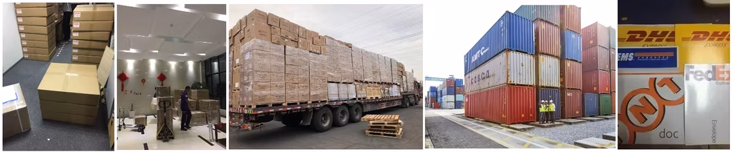 Advanced UV Light Exposure Platform