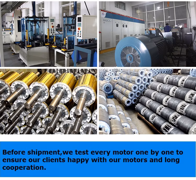 Outboard Boat Motor/Electric Vehicle Motor/Electric Bike Motor/Pellet Grill Controller Motor/Tubular Motor/Copper Core Motor/Garage Door Motor
