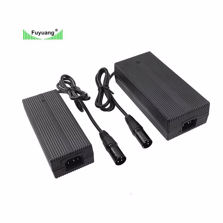 3 Years Warranty Portable Charger 12V 24V 36V 48V 7s 29.4V 2A 3A 4A 5A Electric Bicycle E Bike Scooter Golf Cart Lithium Battery Charger