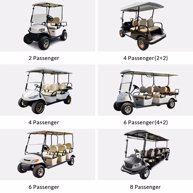 Gas Golf Cart Gasoline Golf Carts Electric 2 Seat Golf Cart