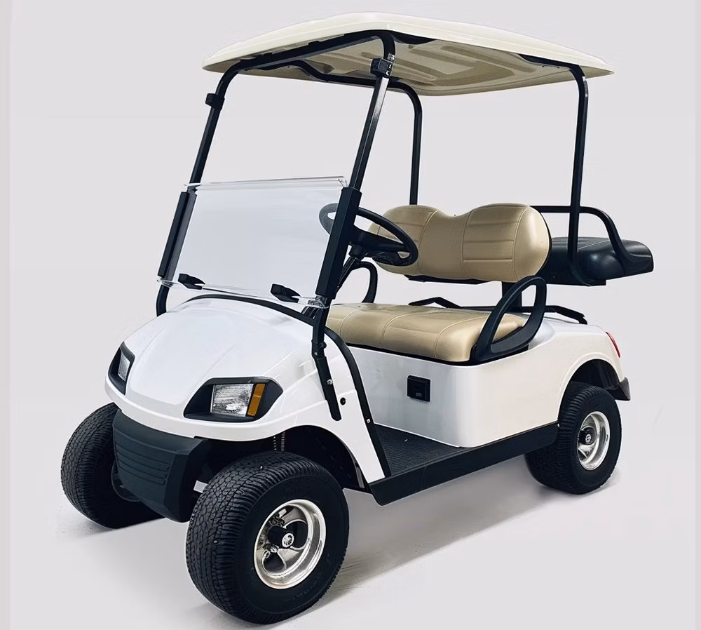 Gas Golf Cart Gasoline Golf Carts Electric 2 Seat Golf Cart