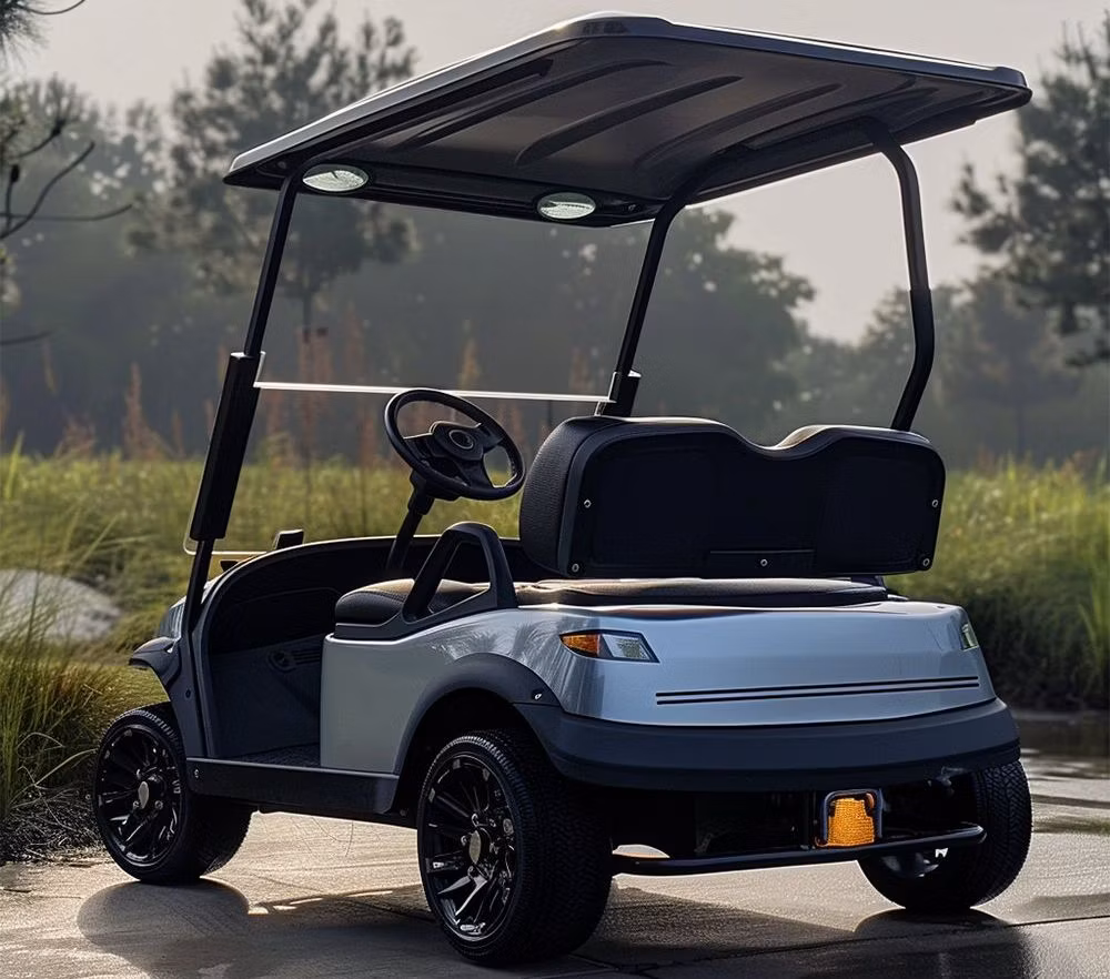 Gas Golf Cart Gasoline Golf Carts Electric 2 Seat Golf Cart