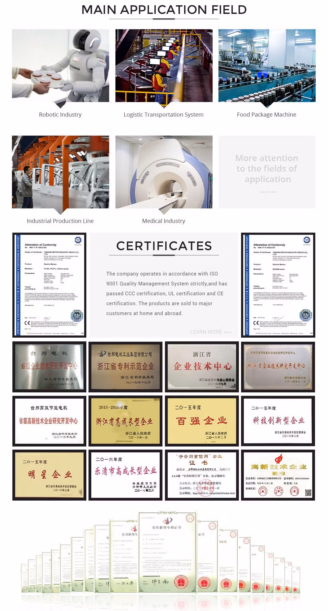 UL CE Approved Gpg Pellet Stove Burner Boiler Dosing Metering Pump Micro AC Reversible Induction Gear Reduction Motor 4ik25gnc 8rpm Yn80-25 3ik15gn 5ik60gn120gn