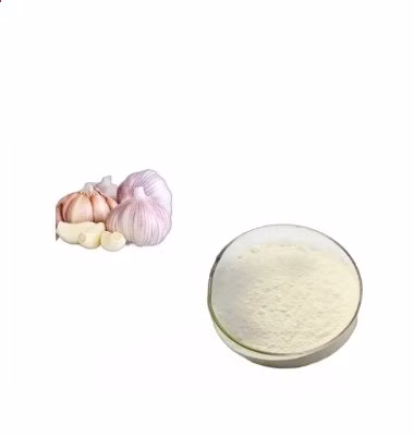 High Quality Factory Supply Normal Garlic Extract Powder