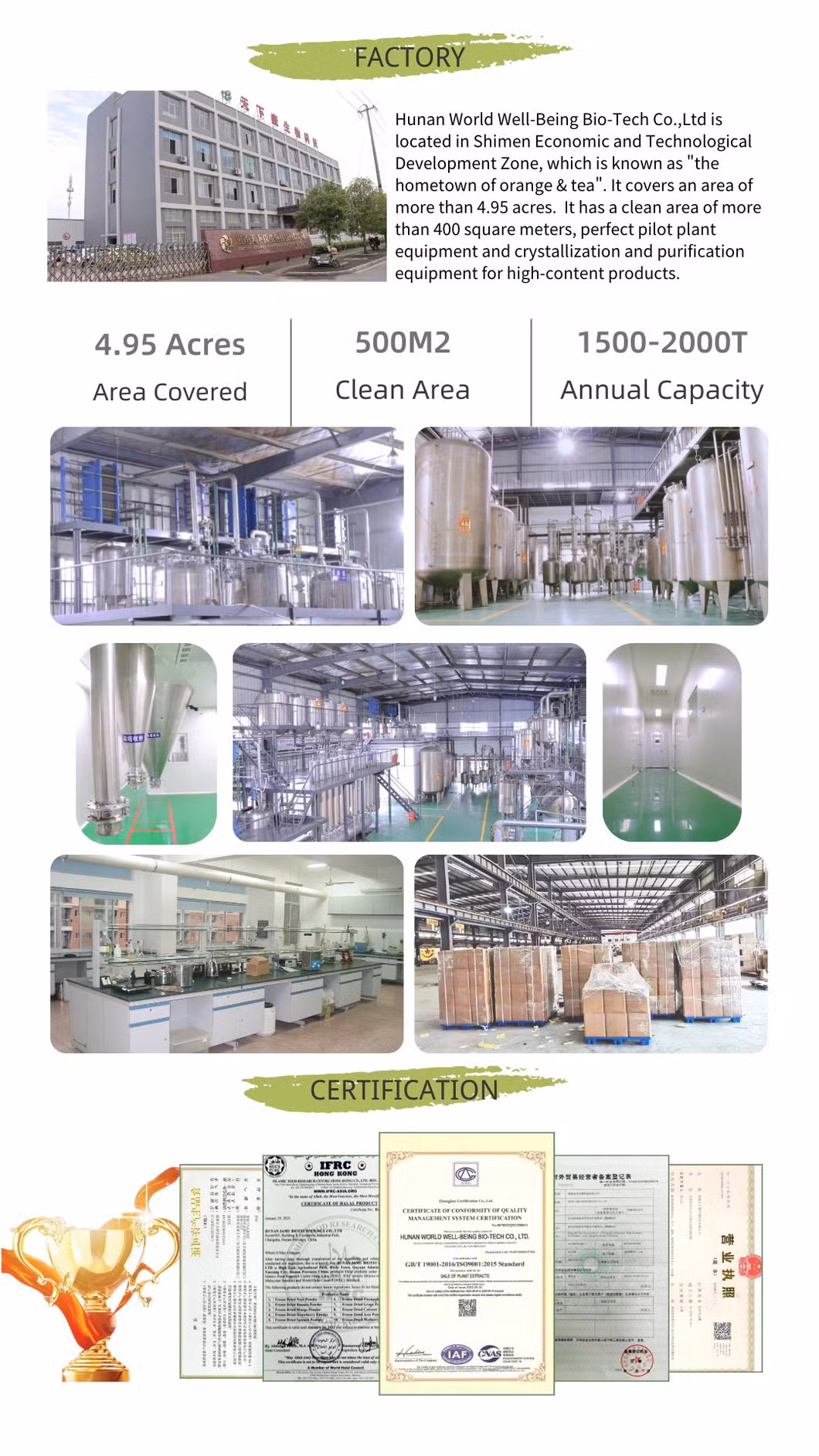 World Well-Being Rutin 90% HPLC Polysaccharide 1%-98% Mushroom Extract Powder Agaricus Blazei /Reishi Mushroom/Hericium Erinaceus/Cordyceps Sinensis Extract