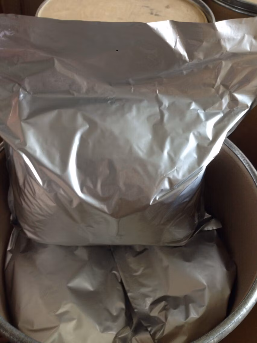 High Quality Factory Supply Normal Garlic Extract Powder