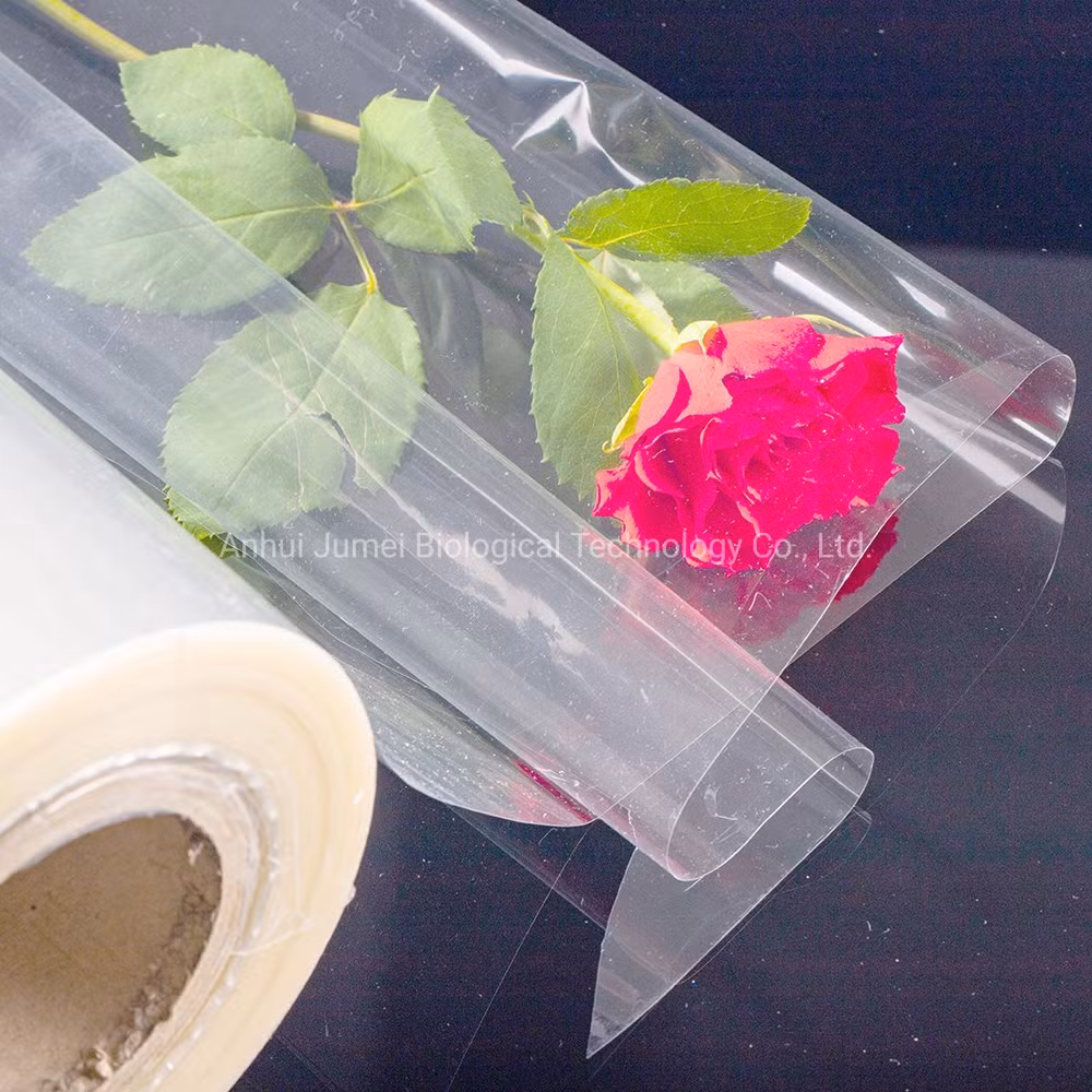 Biodegradable and Compostable Plastic Food Packaging PLA Lidding Film