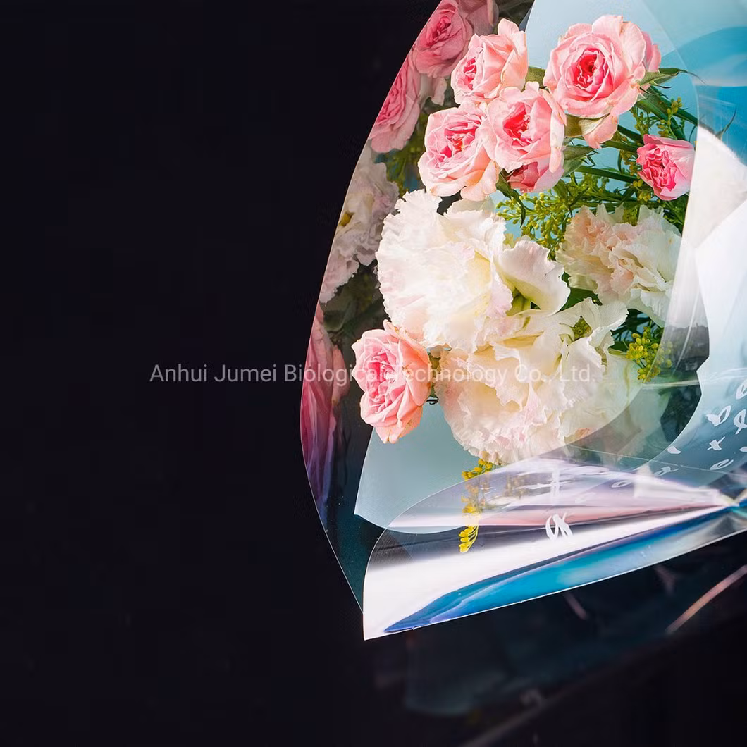 Biodegradable and Compostable Plastic Food Packaging PLA Lidding Film