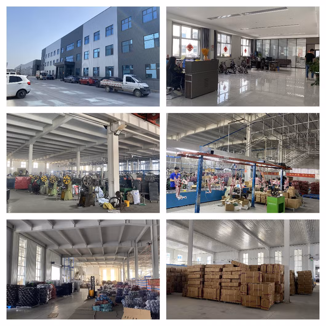 Kids Bikeforeign Trade Children′s Bicycle 12-16 Professional Custom OEM