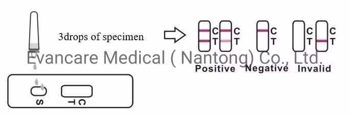 Sickle Cell Strep a B Hfabp D Meter Pct SAA Cal Ige Medical Ivd Rapid Diagnostic Test Kits Cholera Reagent O1/O139 Combo Antigen Antibody Test Kits