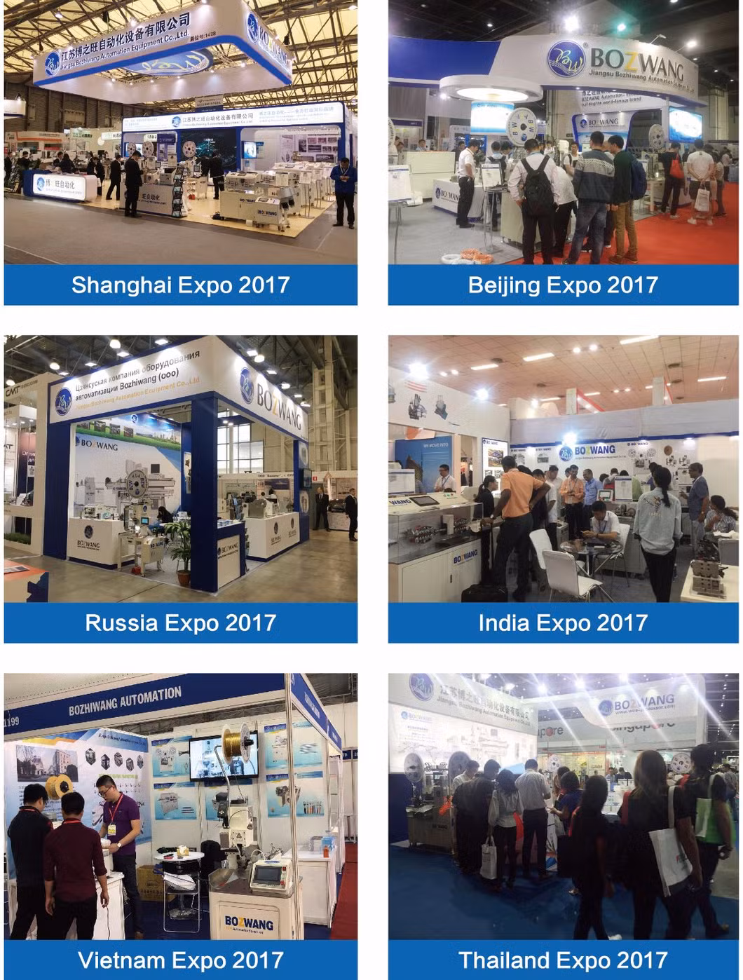 Bzw-3.0+Cmautomatic High Precise Double Ends Terminal Crimping Machine with Receptacle Housing Inserting