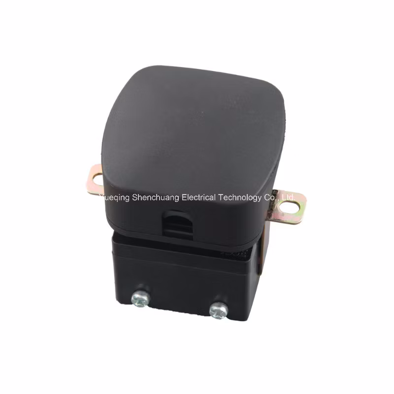 Sans164-1 TUV South Africa Electrical Receptacle, Electric Plug Socket for Power Generator with Children Protection (070101, 100301)