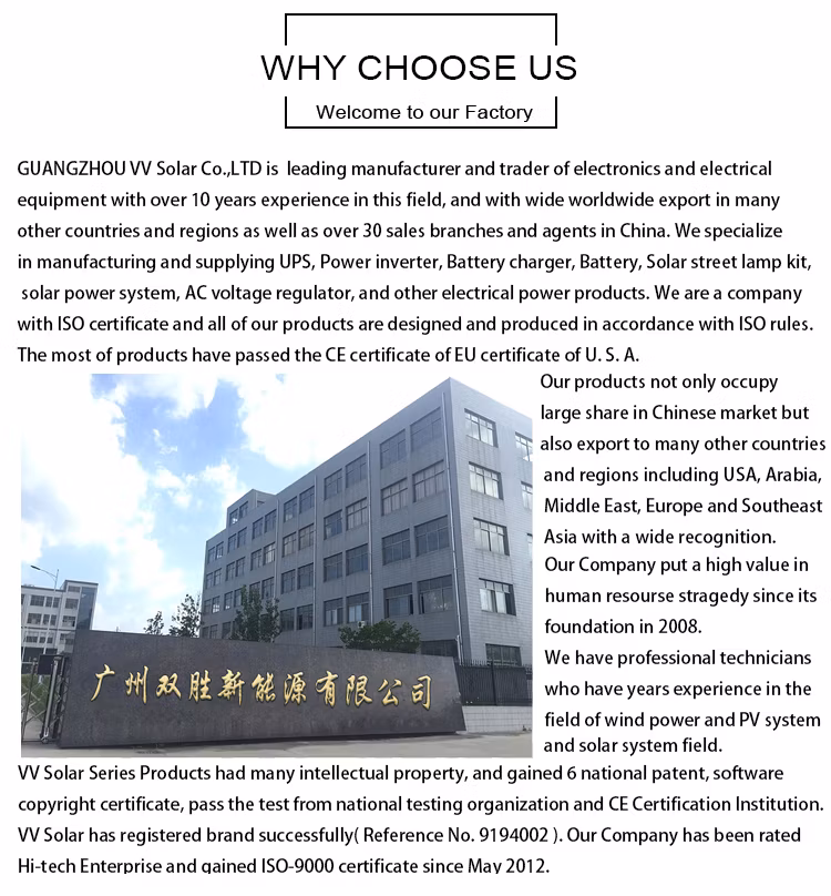 Top Quality and Good Price 100W 120W 250W Trina Bifacial Perovskite Solar Panel