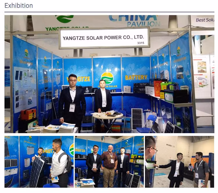 Yangtze 182mm Half Cell 580W 590W 600W PV Cell Monocrystalline Solar Panel for Solar Energy System with The Best Price