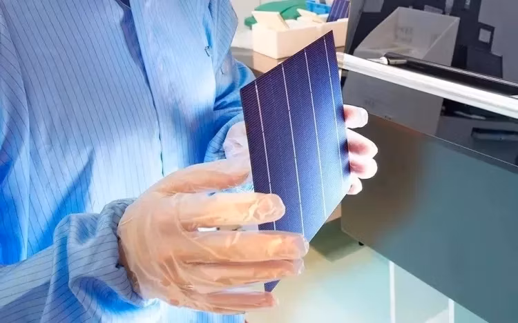 48V Solar Power Panels 550W Poly Solar Panel 610W 620W 630W Polycrystalline Solar Panels Cost 1000W Price for Home Electricity