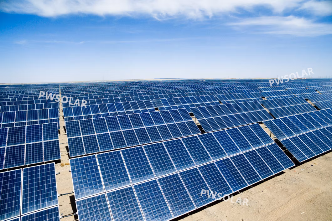 Chinese Solar Panel Supplier 530W 550W 560W 565W 9bb 12bb Monocrystalline Module