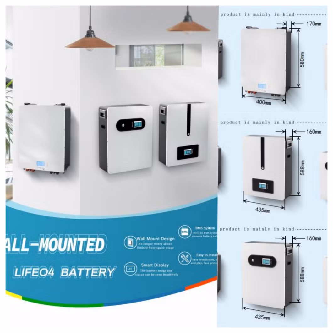 51.2V/48V Customized 5kw 10kw Lithium Battery 100ah 200ah Powerwall off Grid for Solar Energy Storage Powerbank