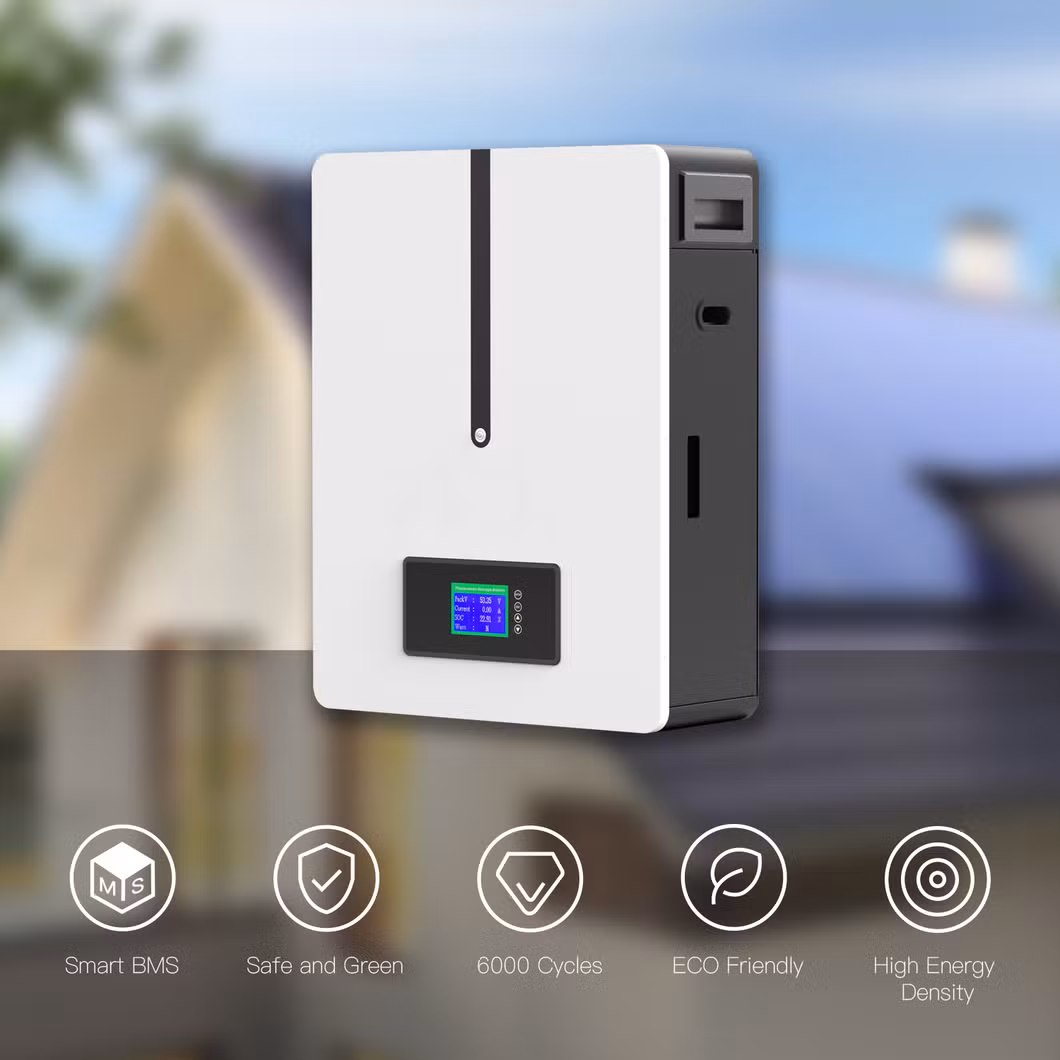 51.2V/48V Customized 5kw 10kw Lithium Battery 100ah 200ah Powerwall off Grid for Solar Energy Storage Powerbank