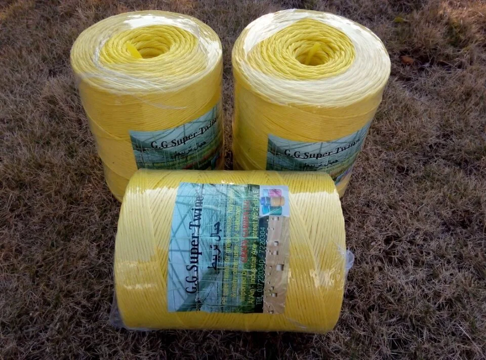 1-6mm Agricultural PP Packing Rope Twine (SGS)