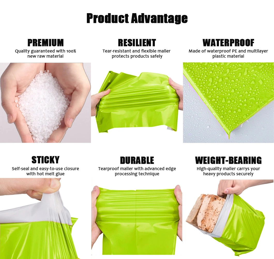 Custom Plastic Courier Pouch Express Bag Shipping Packaging