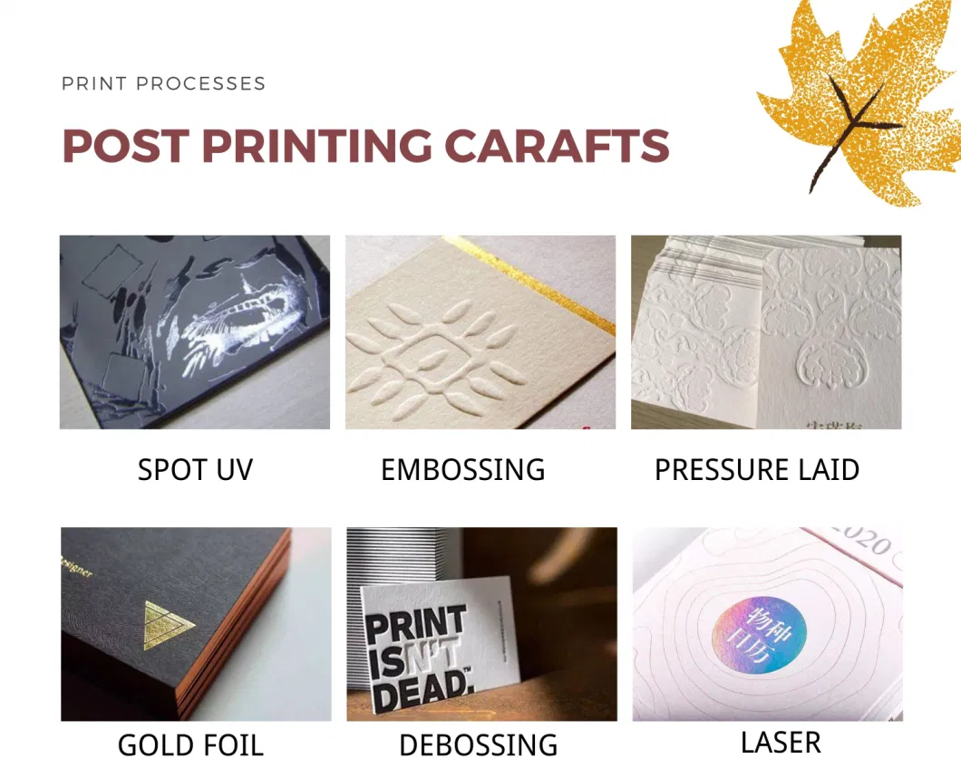 Custom Logo Printing Magnetic Book Style Box for Lash Packaging