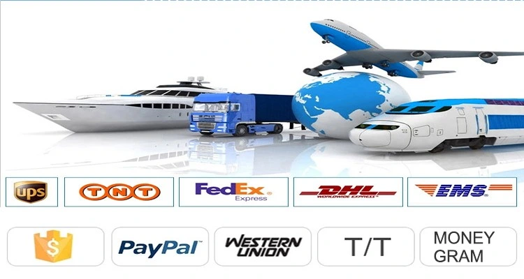 Wholesale Thermal Label Cash Register Paper Roll POS Terminal Thermal Paper Roll