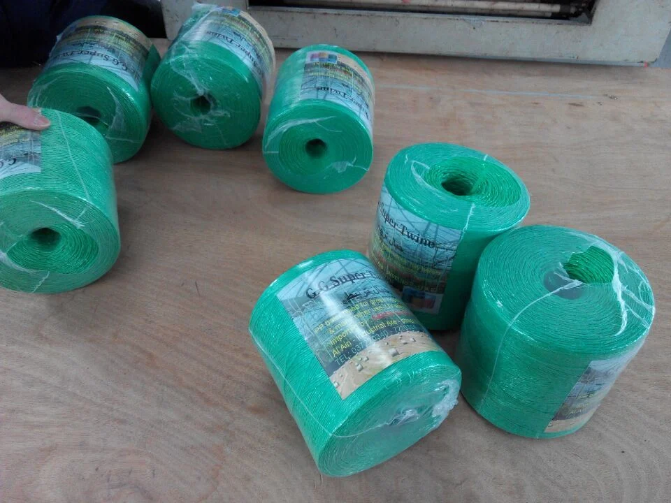 1-6mm Agricultural PP Packing Rope Twine (SGS)