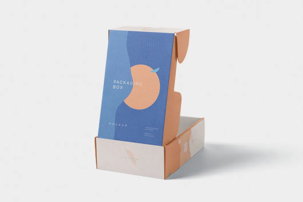 Wholesale Customized Logo Eco-Friendly Colored Small Cardboard Packaging Paper Airplane Corrugated Gift Shipping Boxes Mail Mailer Box