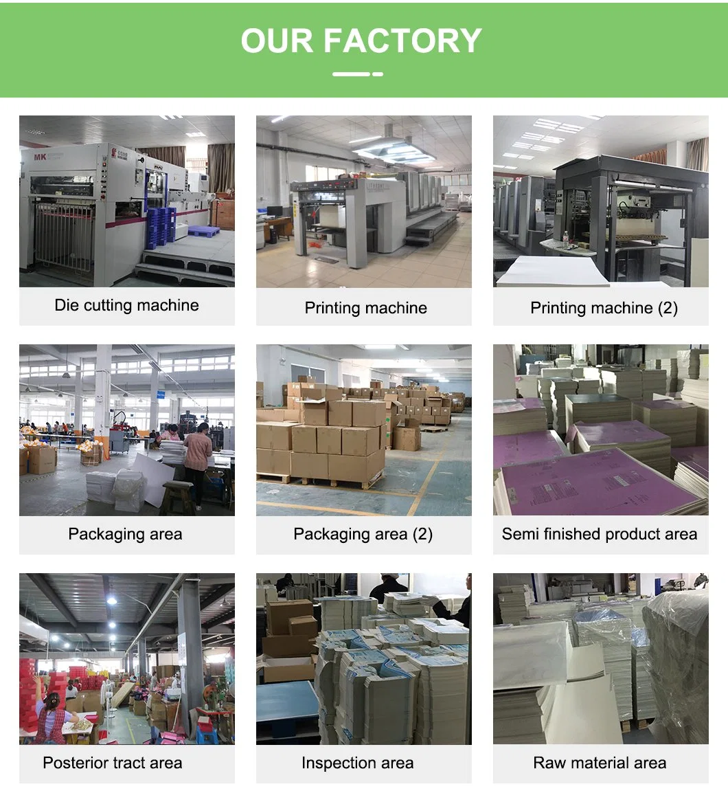 Customized Printed Products/Boxes Paper Sleeve Cardboard Envelope