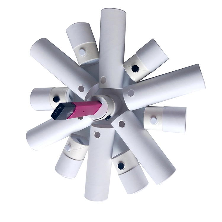 Eco Friendly Full Color Printed Large Pink Paper Recycled White Brown Tube Container Cylinder Cardboard Packaging Round Box Push up Paper Tube