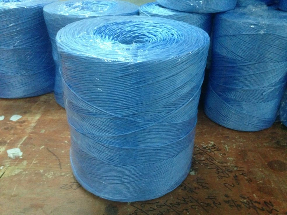 1-6mm Agricultural PP Packing Rope Twine (SGS)