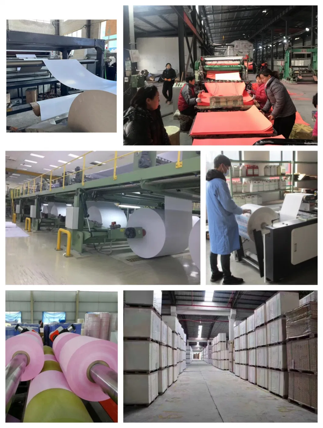 Waterproof Customized Size Thermal Print Paper for Cash Register