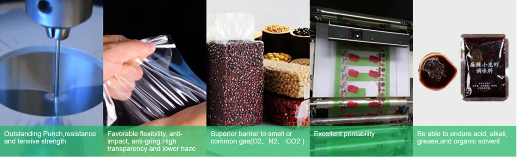 Lisim Oriented PA 6 Plastic Film for Cold Chain Shipping Packaging