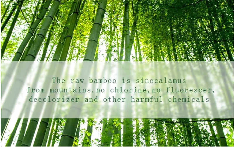 Best Quality Bamboo Toilet Roll Tissue Ecological Paper