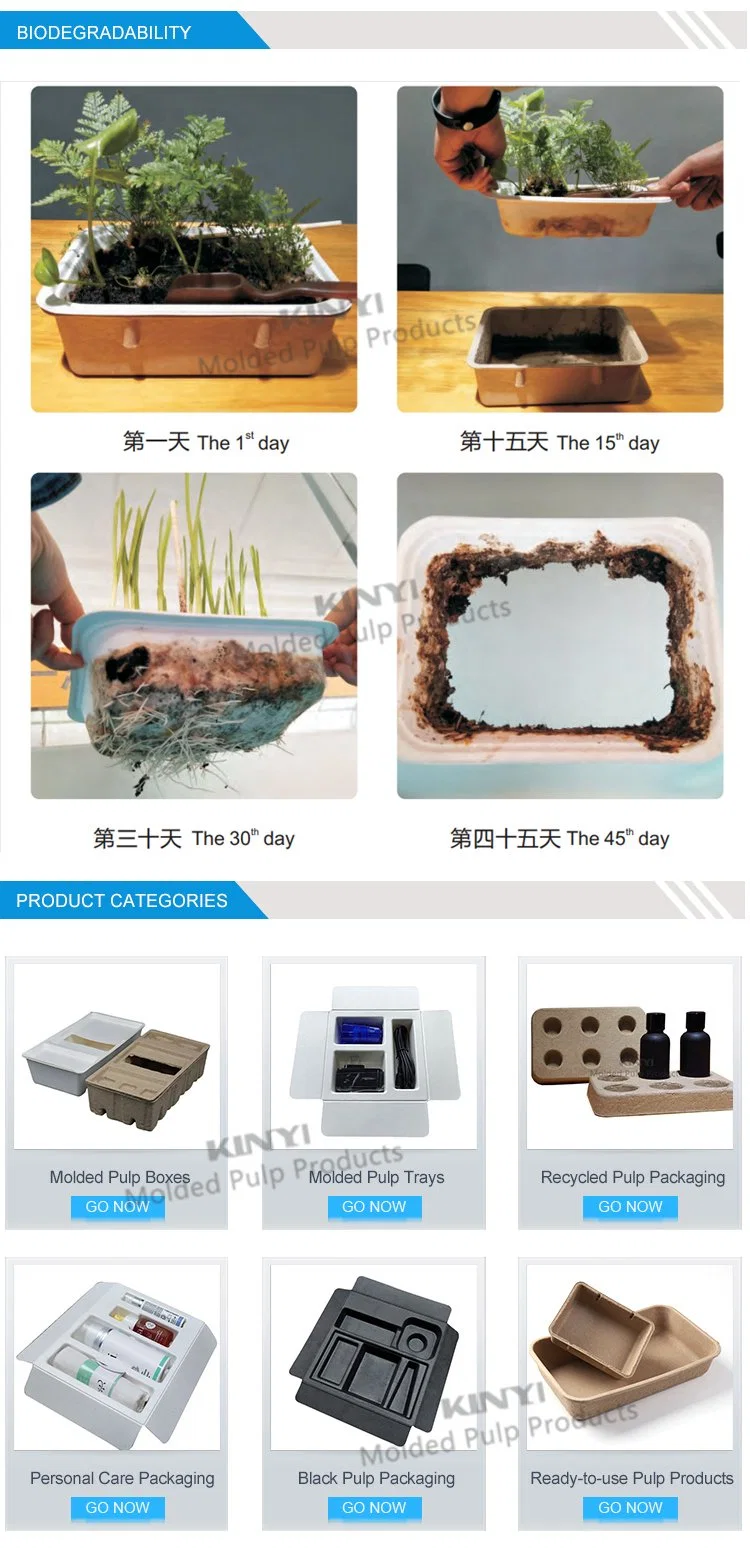 Custom Feature Biodegradable Packaging Natural Brown Paper Box Packaging