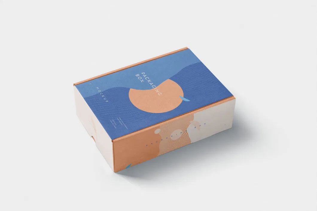 Wholesale Customized Logo Eco-Friendly Colored Small Cardboard Packaging Paper Airplane Corrugated Gift Shipping Boxes Mail Mailer Box