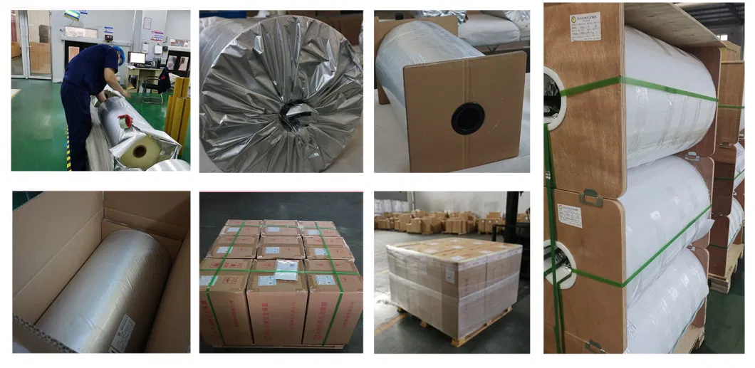 Lisim Oriented PA 6 Plastic Film for Cold Chain Shipping Packaging