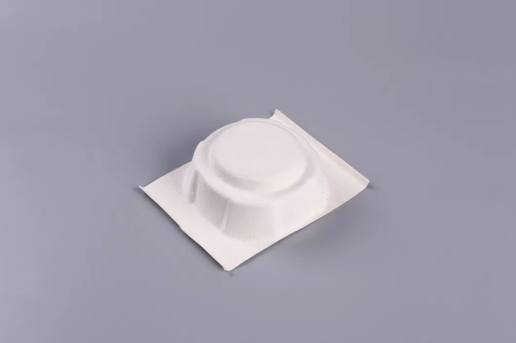 Hot Selling Recyclable Paper Pulp Molded Sugarcane Pulp Wine Bottom Tray Shipping White Packaging