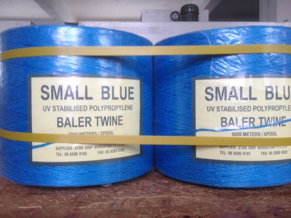 1-6mm Agricultural PP Packing Rope Twine (SGS)