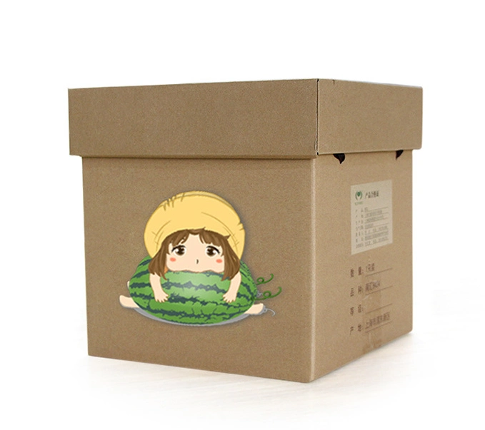 Eco-Friendly Corrugated Cardboard Paper Packaging Box Blind Box Large Carton Box with Handle