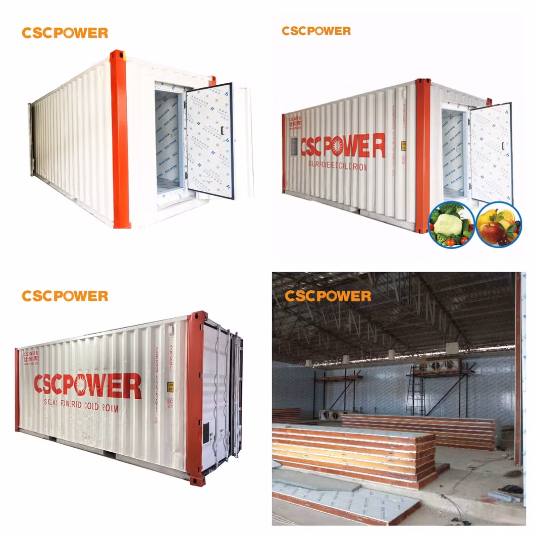 Heavy-Duty 100mm Insulated Solar Cold Storage Solution for Transport