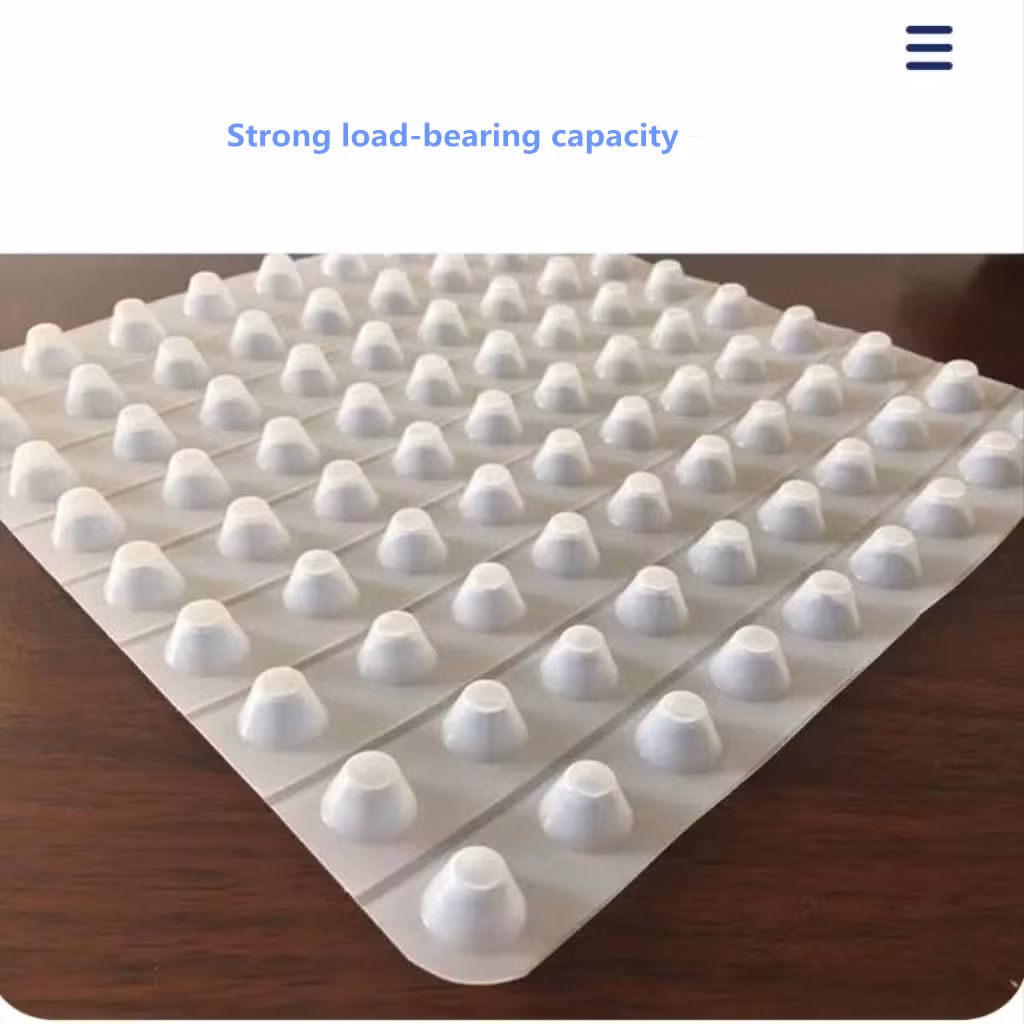 HDPE Concave Convex Drainage Board, Plastic Water Guide Board, Roof Garden Garage Drainage Board, Composite Plastic Drainage Board