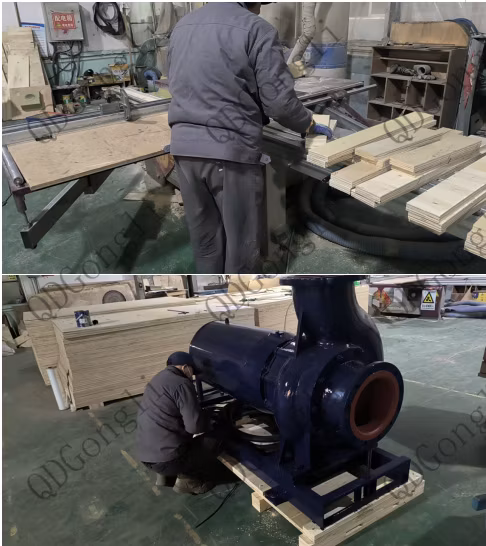 Vertical Wet Dry Dual-Purpose Spiral Centrifugal Impeller Pump